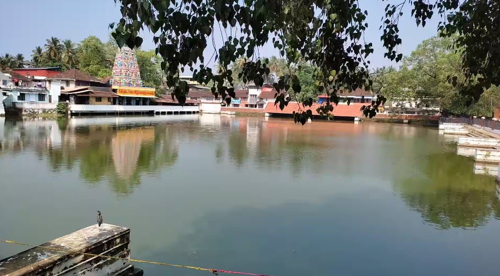 Tali Temple Pond, Kozhikode, Kerala - Vushii.com Tali Temple Pond, Kozhikode, Kerala - Vushii.com
